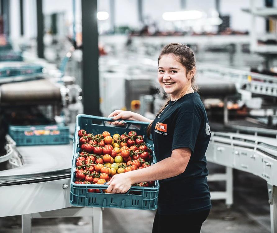 Упакувальник
