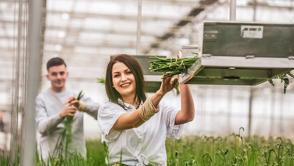 Production worker (flowers)