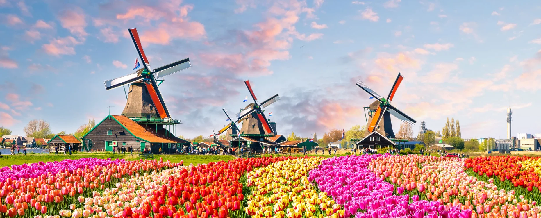 About the Netherlands